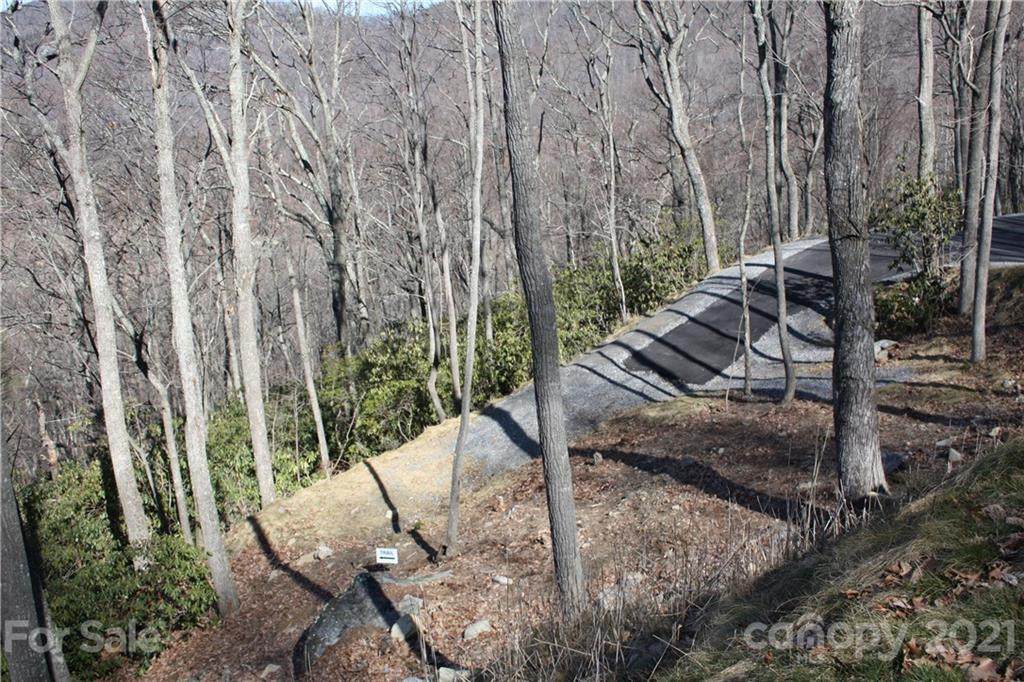 60 Chesten Mountain Drive - Photo 1