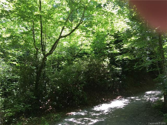 99999 Nc 9 Highway - Photo 1