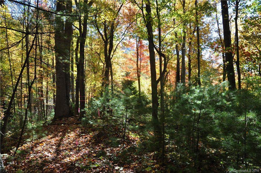 000 Meadow Fork School Road - Photo 1