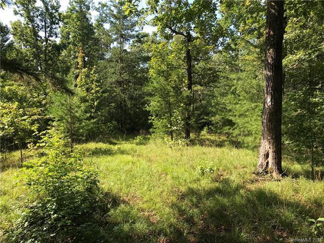 00 River Knoll Lane - Photo 1