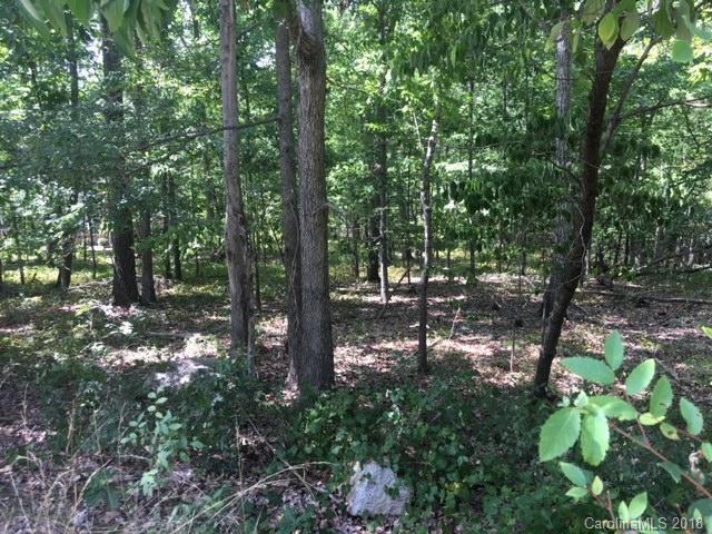406 Rocky Cove Lane - Photo 1