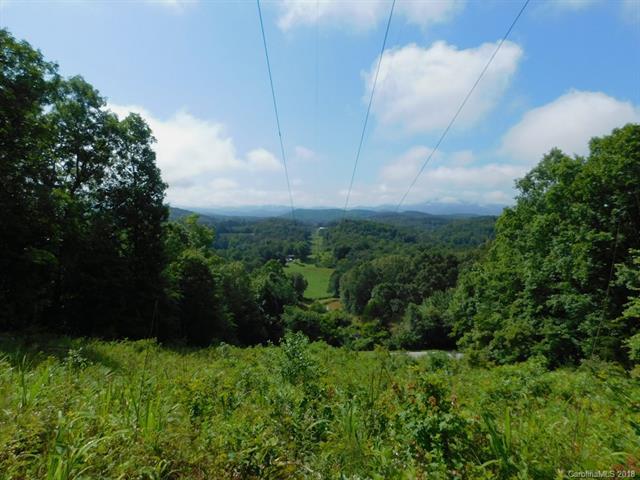 0 Sanderstown Road - Photo 1