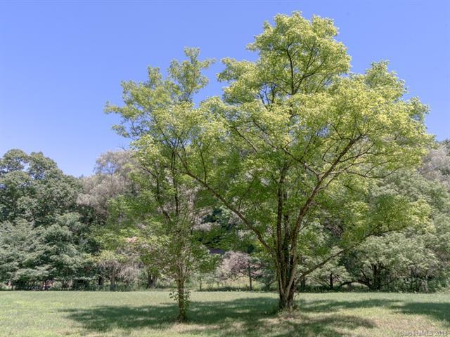 0 Big Brush Creek Road - Photo 1