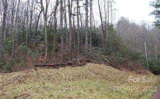VL302 Mountain Forest Estates - Photo 1