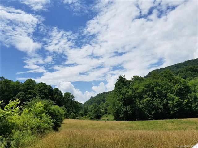 102 Acres Rabbit Skin Road - Photo 1