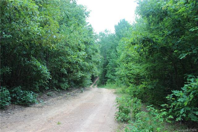 0000 Old Aquadale Road - Photo 1