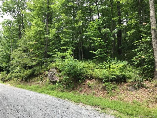 LT35 Big Branch Road - Photo 1