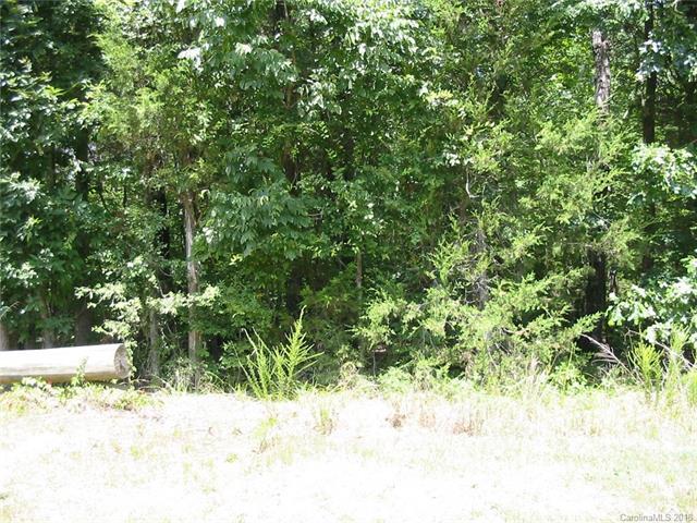 3.47 acres Old Eury Road - Photo 1