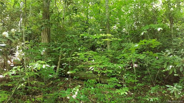 00 Fair Hollow Lane - Photo 1