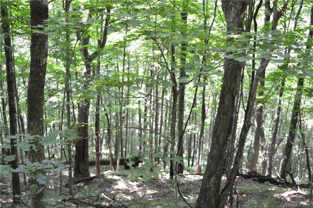 000 Anderson Cove - Photo 1
