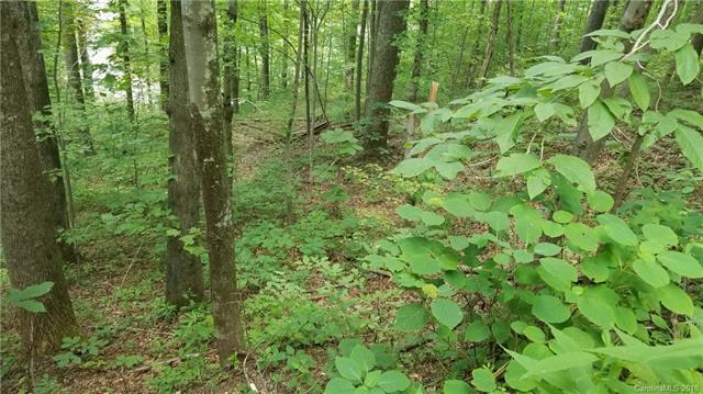0 Bear Creek Lane - Photo 1
