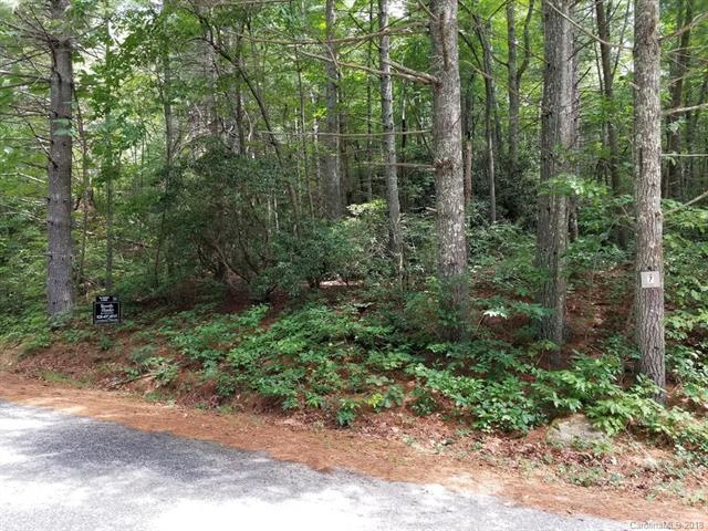 0 Old Mt Olivet Road - Photo 1