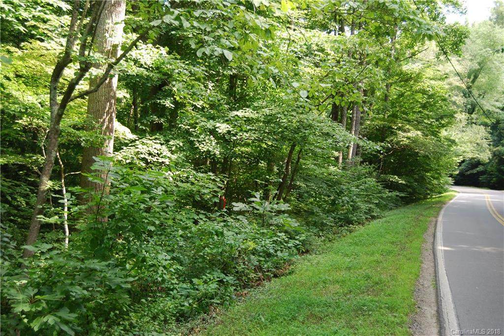 2030 North Fork Road - Photo 1