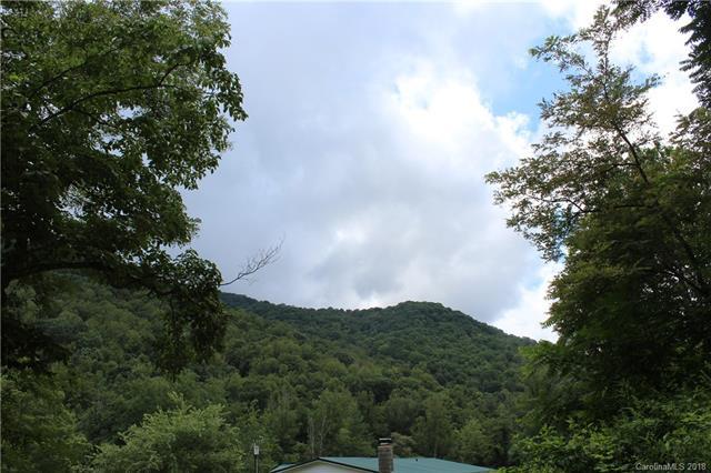 9999 Paint Fork Road - Photo 1