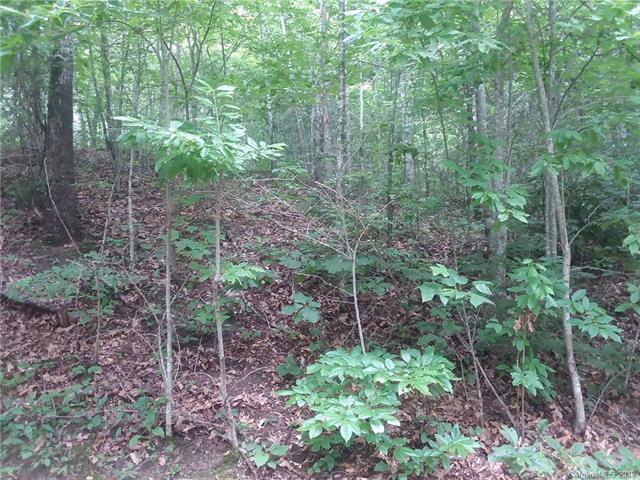 00 Moonbeam Lane - Photo 1