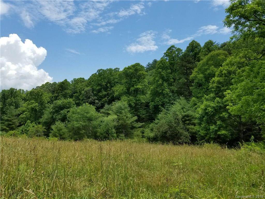 Tract 4 Rabbit Skin Road - Photo 1