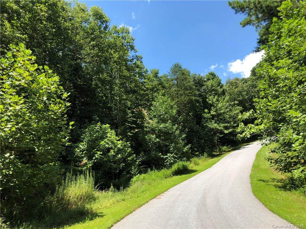 LT 11 Spring Hollow Road - Photo 1