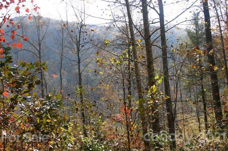 0000 Wood Stone Way - Photo 1