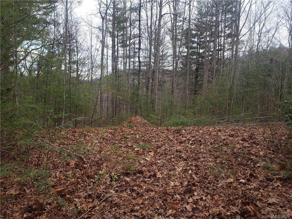 108 Dream Forest Trail - Photo 1