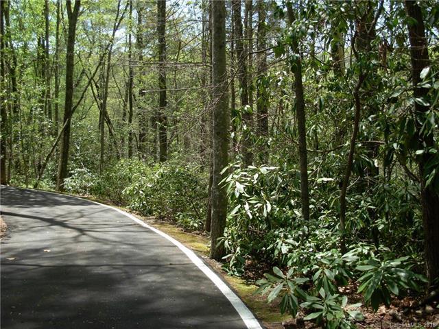 10 The Rapids Road - Photo 1