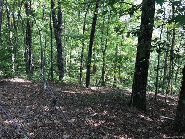 Lot 17 Chad Circle - Photo 1