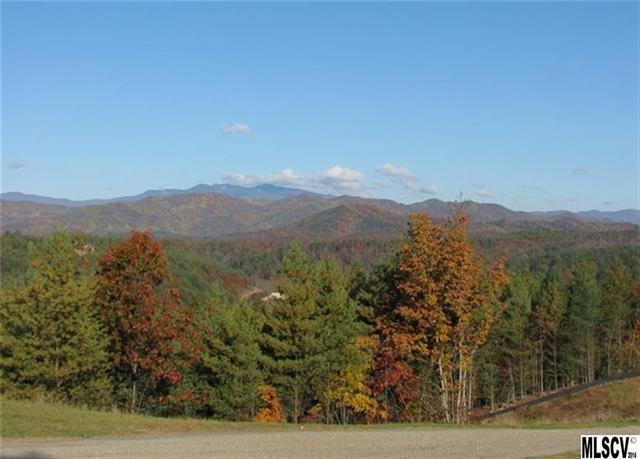 Lot 163 Johns Ridge Parkway - Photo 1