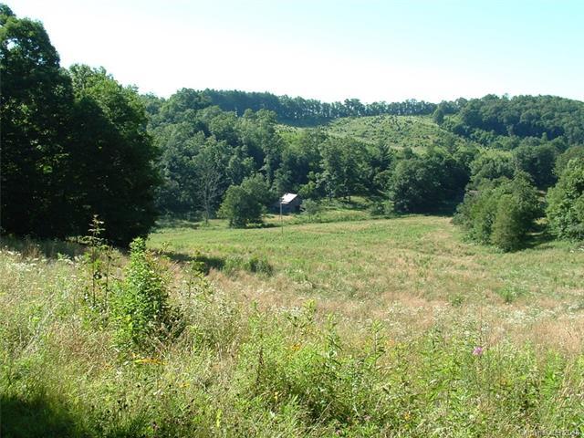 8720 Cullowhee Mountain Road - Photo 1
