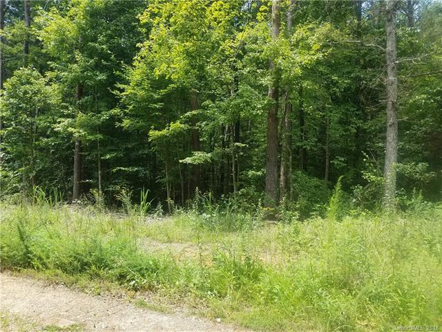 20 Acres L R Schronce Lane - Photo 1