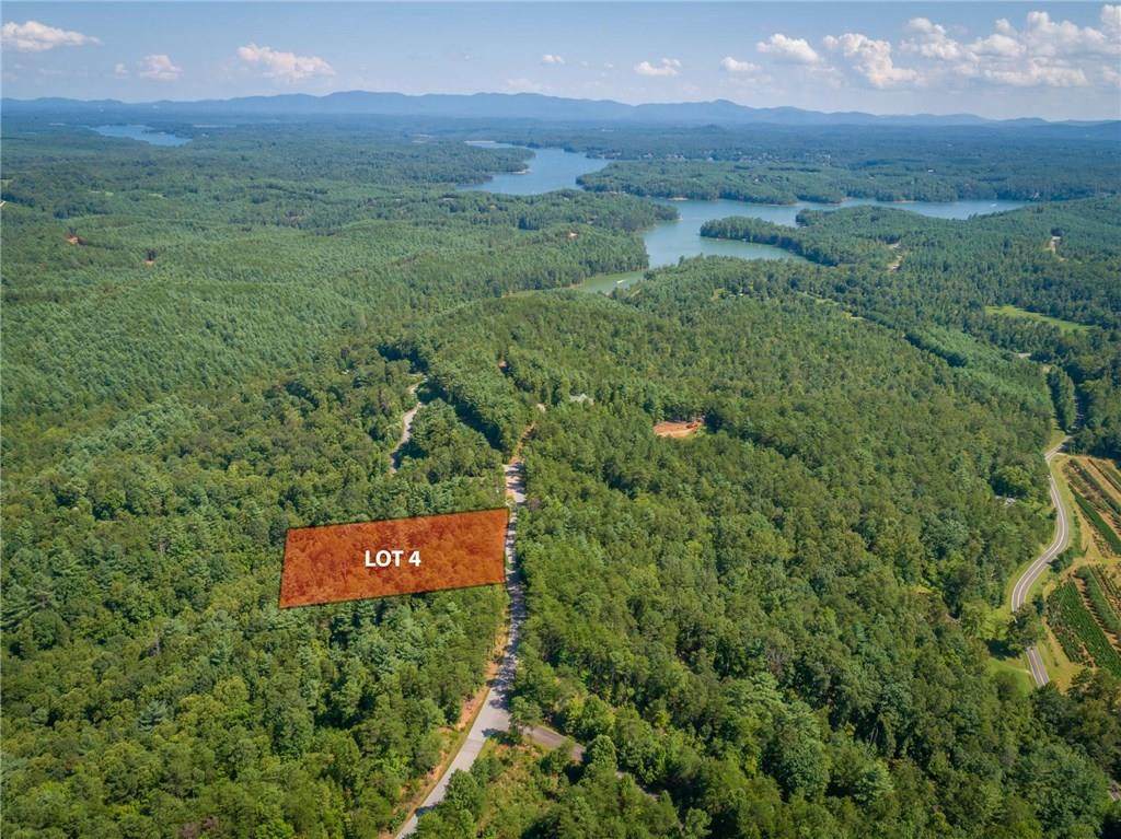 3112 Pisgah Preserve Drive - Photo 1