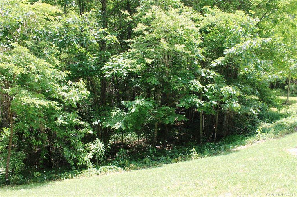 LOT 1 Coopers Drive - Photo 1