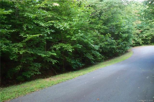 Lot 55 Turn-A-Bout Court - Photo 1