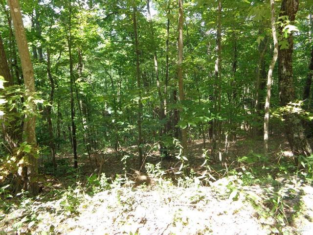 Lot 145 High Peak Mountain Road - Photo 1