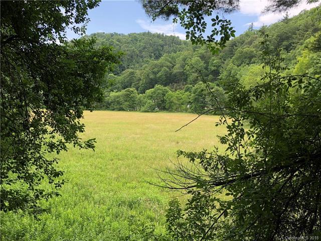 276 Old Blowing Rock Road - Photo 1