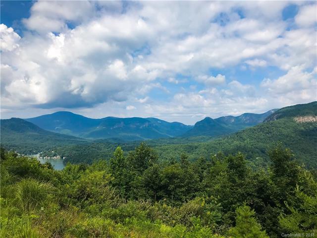 Lot 216 Overlook Point Lane - Photo 1