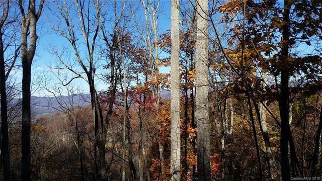 LOT 208 Glen Valley Drive - Photo 1