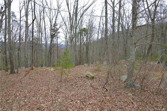 2012 Sierra Trace Road - Photo 1