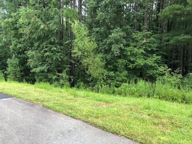 6080 Plantation Pointe Drive - Photo 1