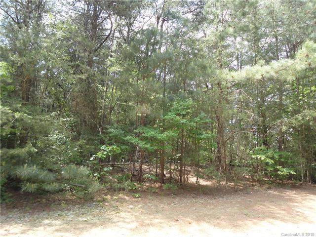 4868 Slanting Bridge Road - Photo 1