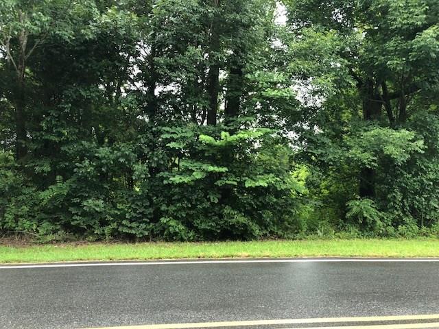 0000 Sandy Ford Road - Photo 1