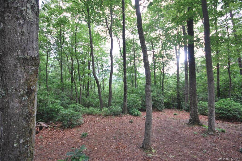 26 Open Ridge Trail - Photo 1