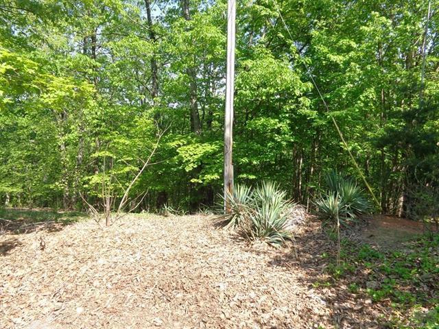 5352 Mineral Springs Mountain Ridge - Photo 1