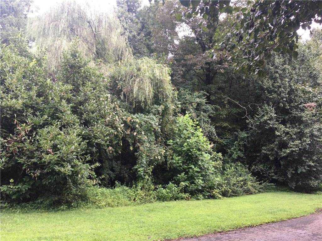 113 Belvedere Drive - Photo 1