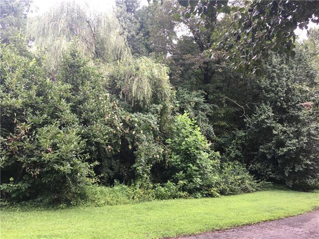 113 Belvedere Drive - Photo 1