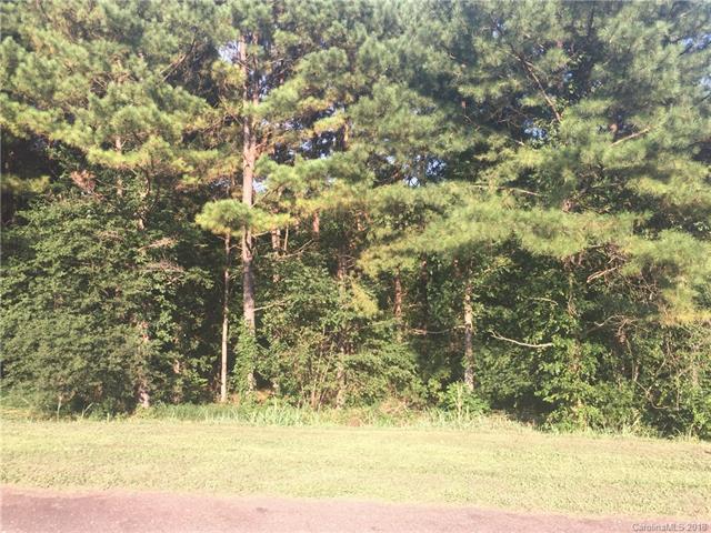 Lot 28 Mintew Circle - Photo 1