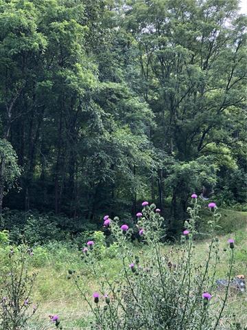 12 Tupelo Trail - Photo 1