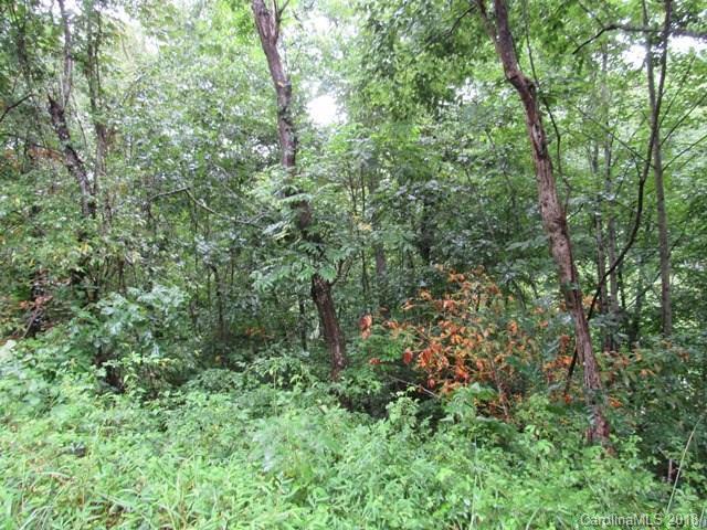 223 & 254 Landfill Road - Photo 1