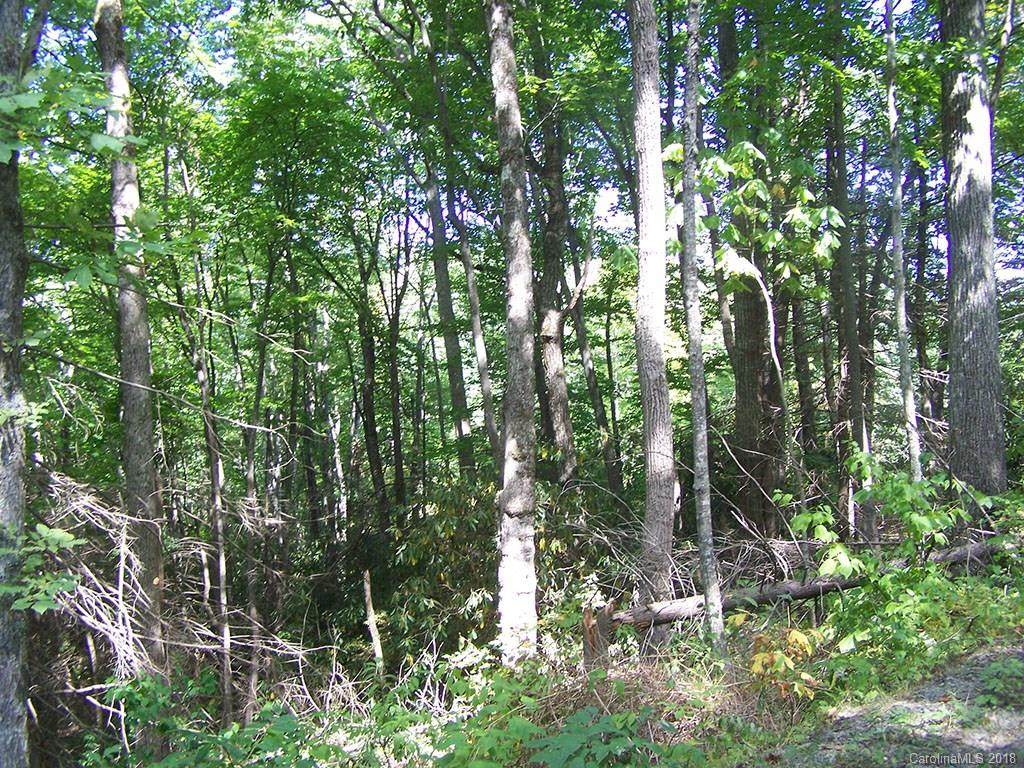 104 Overlook Drive - Photo 1