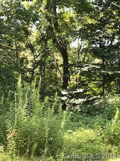 000 Bear River Lodge Trail - Photo 1