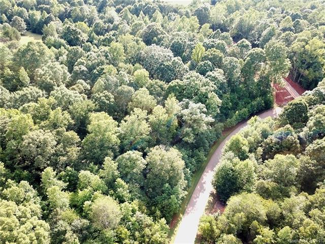 6165 Falls Ridge Trail - Photo 1