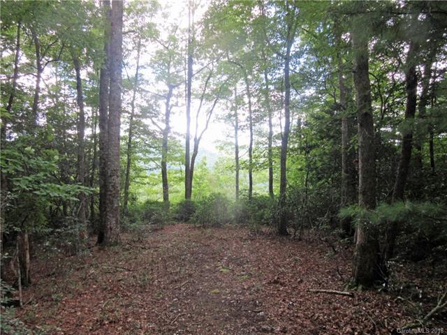 camp #7 Red Maple Lane - Photo 1